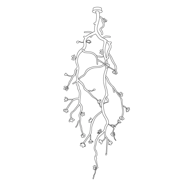 Large Long Branch Flower Chandelier - Image 4