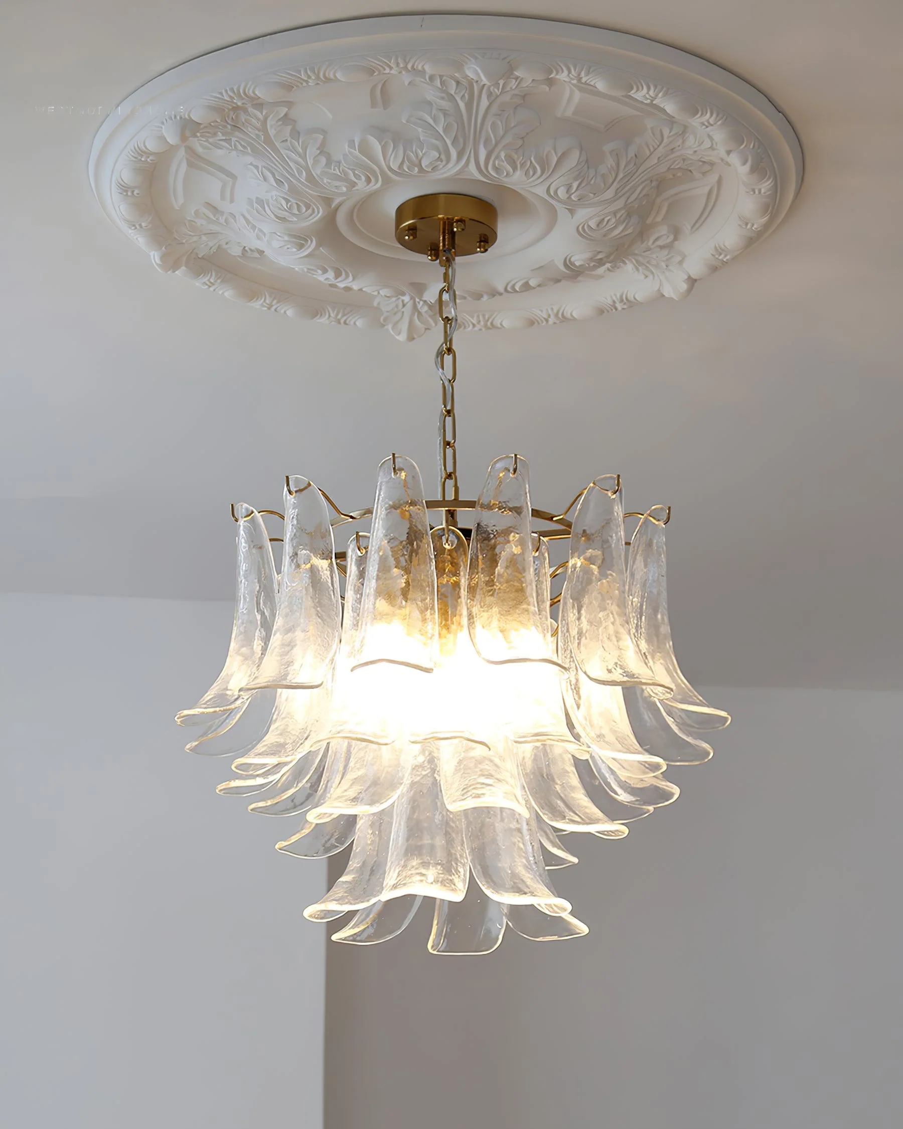 Murano Chandelier - Image 26
