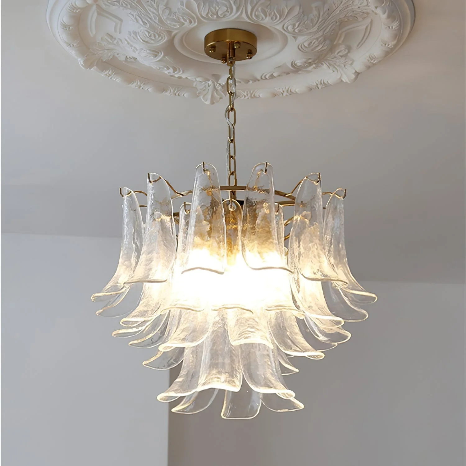 Murano Chandelier - Image 43