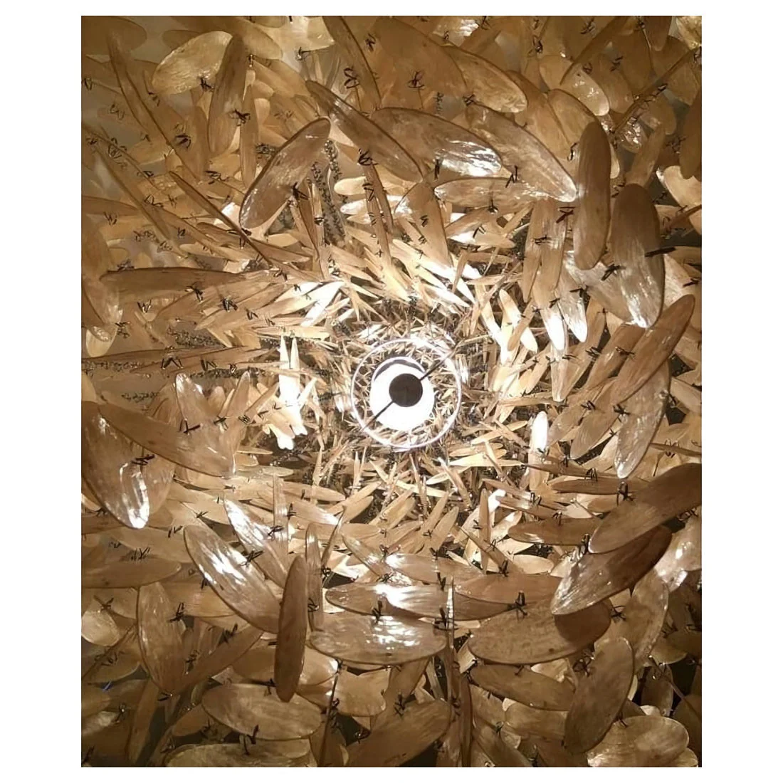 Shell Chandelier - Image 21